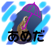 696504407
