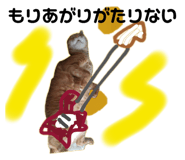 696504410