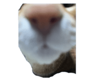 696504414