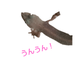 696508481