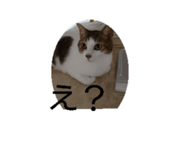 696509931