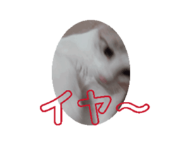 696509933