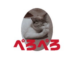 696509934