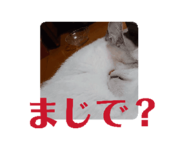 696509937