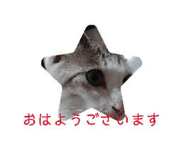 696509939