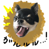 69654354