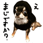 69654360