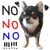 69654361
