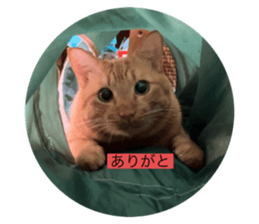 696567296