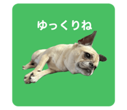 696575435