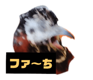 696575978