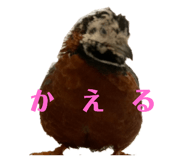 696575983