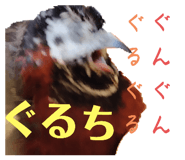 696575992