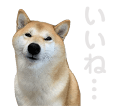 696576491