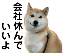 696576498