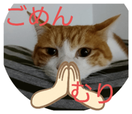 696577882