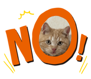 696579304