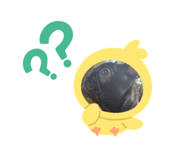 696579746