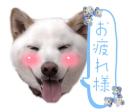 696590815