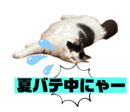 696591265