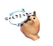 696591268