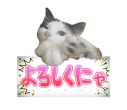 696591270