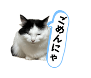 696591277