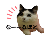 696591281