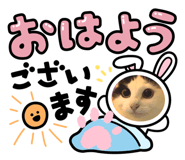 696591289