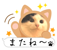 696591291