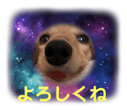 696591352