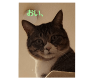 696592250