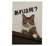 696592254