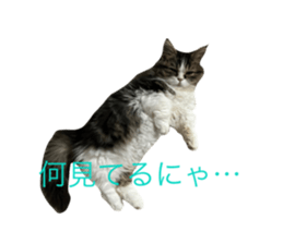696593256