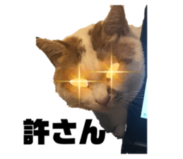 696594506