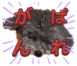 696596839