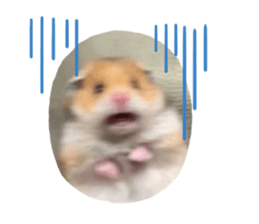 696597733