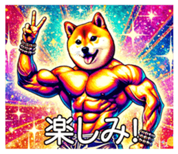 696603884