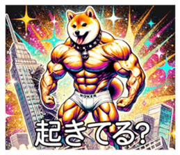 696603885