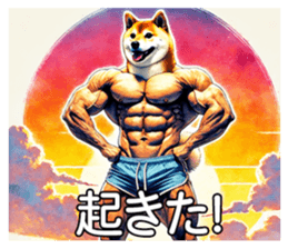696603886