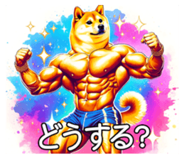 696603894