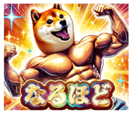 696603987