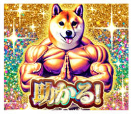 696604010