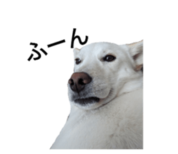 696608505