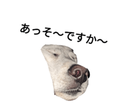 696608510