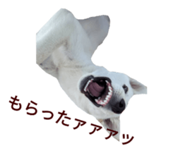 696608518