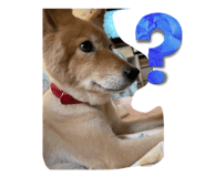 696613486
