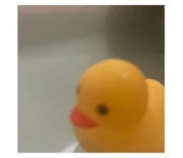 696619273