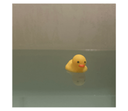 696619278