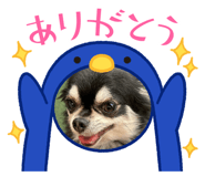 696619914